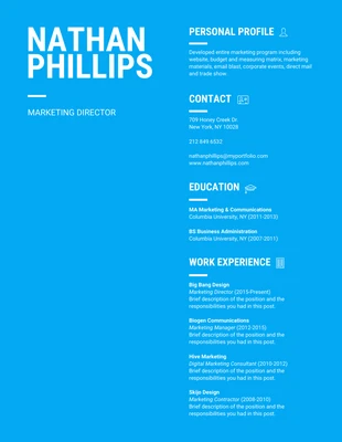 premium  Template: Bold Blue Resume