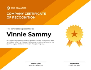 business  Template: Orange Visual Company Professional Certificate