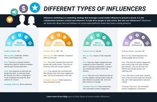 business  Template: Tipi di Influencer Marketing a confronto Infografica