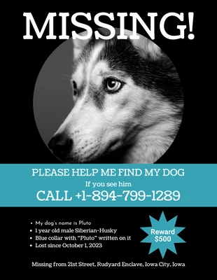 premium  Template: Poster di cane scomparso scuro