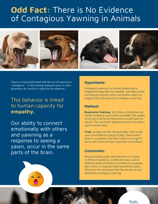 Free  Template: Poster de recherche sur l'étude du bâillement chez les animaux tabloïdes
