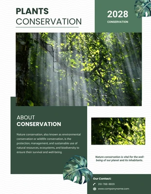 Free  Template: Light Green Business Newsletters Acerca de Green Nature Simple