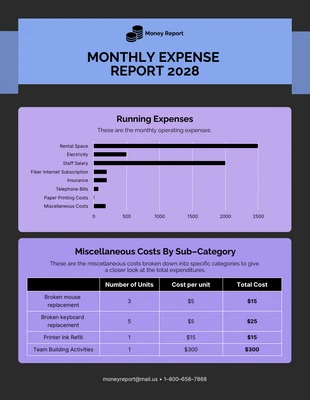 premium  Template: Small Business Expense Report Template