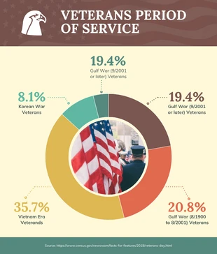 Free  Template: Grafico a torta del servizio veterani d'epoca