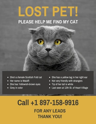 Free  Template: Yellow Black Missing Cat Poster