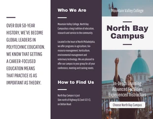 Free  Template: College Campus Tri Fold Brochure