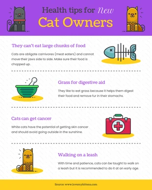Free  Template: Consejos de salud para nuevos propietarios de gatos