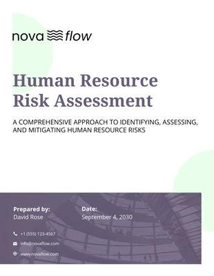 Free  Template: Marco de Evaluación de Riesgos de Recursos Humanos