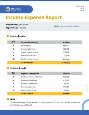 premium  Template: Income Expense Report Template