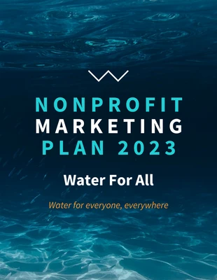 business  Template: Blue Nonprofit Marketing Plan