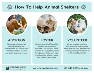 Free  Template: Infografía sin ánimo de lucro sobre el refugio de animales en colores pastel