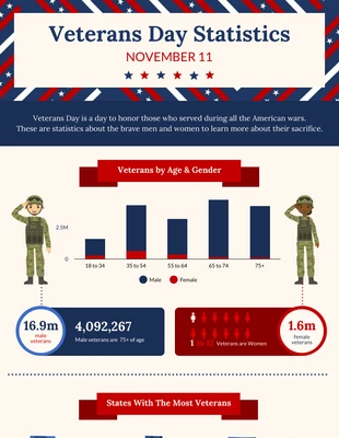 premium  Template: Infografía estadística icónica del Día de los Veteranos