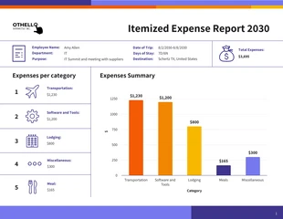 premium interactive Template: Modelo de relatório de despesas detalhadas