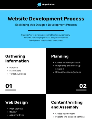 premium  Template: Infografica sul processo di sviluppo del sito web