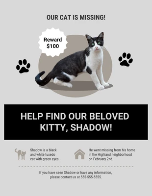 Free  Template: Grey Missing Cat Flyer