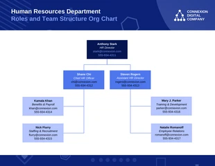 premium  Template: Diagrama de la estructura del equipo de Recursos Humanos.