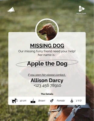 Free  Template: تساعد خلفية الصورة في العثور على ملصق الكلب المفقود