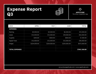 business  Template: Modèle de rapport de dépenses d'entreprise