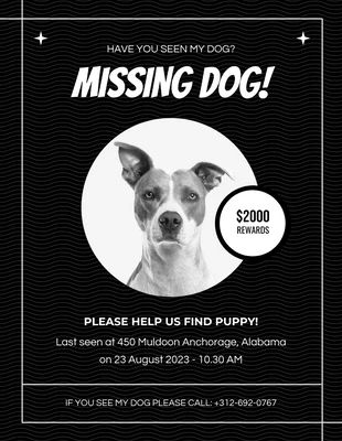 Free  Template: Missing Lost Flyer Template