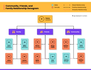 Free  Template: Community Relationship Genogram