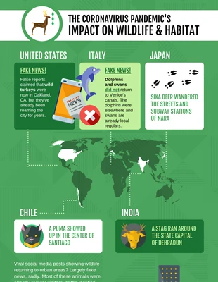 Free  Template: Pandemic's Impact on Wildlife Map Infographic Template