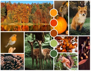 business  Template: Nature Mood Board