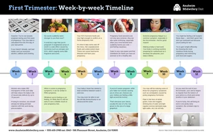 business  Template: Trimestre de embarazo Calendario sanitario