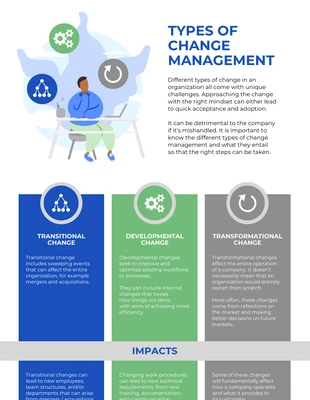 premium and accessible Template: Types of Change Management Strategies Infographic