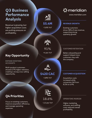 business  Template: Infografica riassuntiva del rapporto di analisi