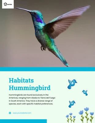 Free  Template: Hummingbird Natural Habitat Blue Flyer