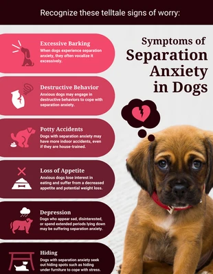 Free and accessible Template: Sintomas de ansiedade de separação em cães