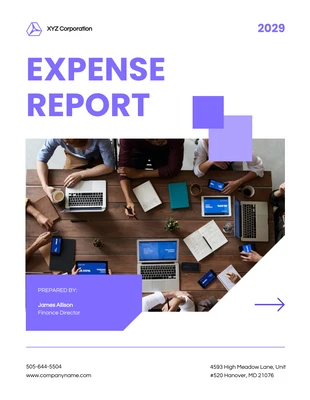 Free  Template: White And Purple Expense Report