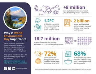 premium  Template: World Environment Day Statistical Infographic
