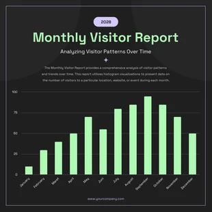 Free  Template: Black Monthly Visitor Report Histogram Charts