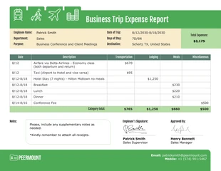 business  Template: Modelo de relatório de despesas de viagem de negócios