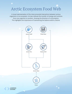 premium  Template: Diagrama da Web Alimentar do Ecossistema Ártico Azul Claro