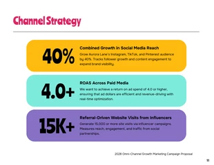 Growth Marketing Campaign Dynamic Proposal - Página 11