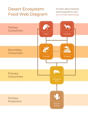 business  Template: Diagrama da Web Alimentar do Bioma Deserto Quente
