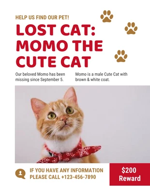 Free  Template: White Lost Cat Flyer