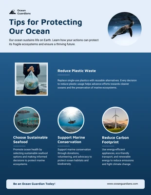 Free  Template: Tips for Protecting Our Ocean Infographic