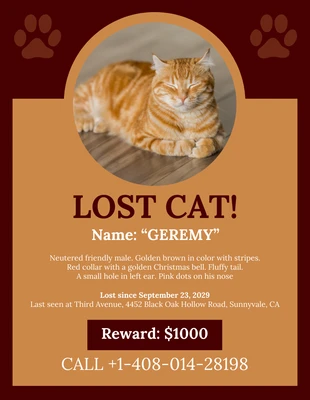 Free  Template: Brown Missing Cat Poster