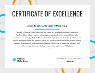 premium  Template: Certificate of Excellence