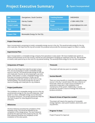 business  Template: Summary Template