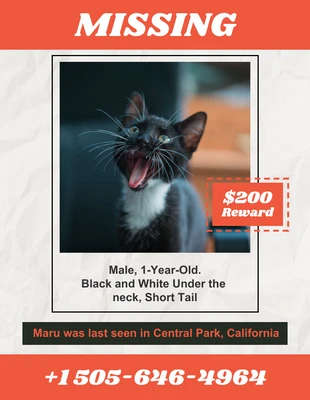 Free  Template: Pampas Missing Cat Flyer Template