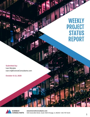 business  Template: Modelo de relatório semanal de status do projeto