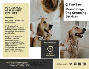 Free  Template: Folheto do serviço de tosa moderna para cães