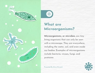 Simple Cute Colorful Microorganism Animated Presentation - Seite 2
