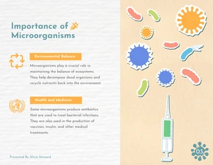 Simple Cute Colorful Microorganism Animated Presentation - Página 4