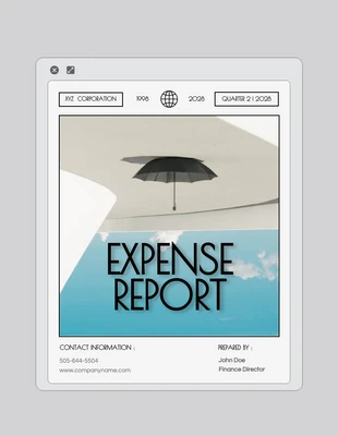 Free  Template: Informe de gastos minimalista de visualización de página web