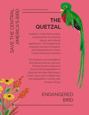 Free  Template: Estilo vintage retrô Salvar aves ameaçadas de extinção O modelo Quetzal